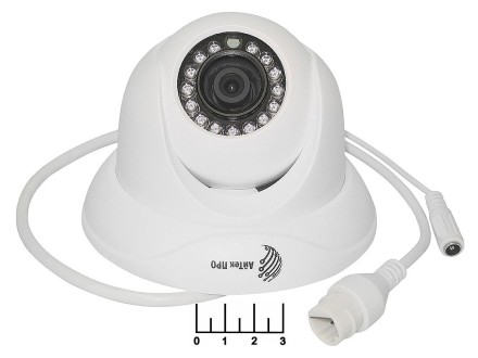 IP-камера IP2DPF 4мм цветная с ИК-подсветкой с функцией учета посещения